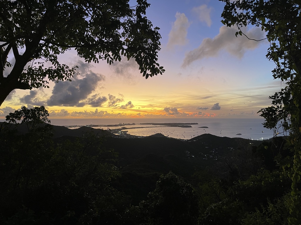 Sunset over St. Martin seen from a wooded hillside, with dark green hills sloping down to the bay and the coastline glowing under a pink and gold sky.